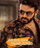 Nenu Meeku Baaga Kavalsinavaadini (2022)